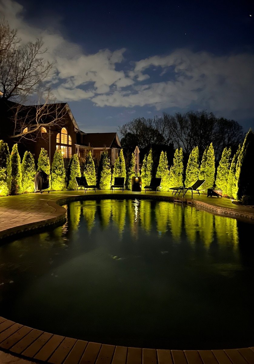 Pool surrounded by arbor vitae illuminated by landscape lights