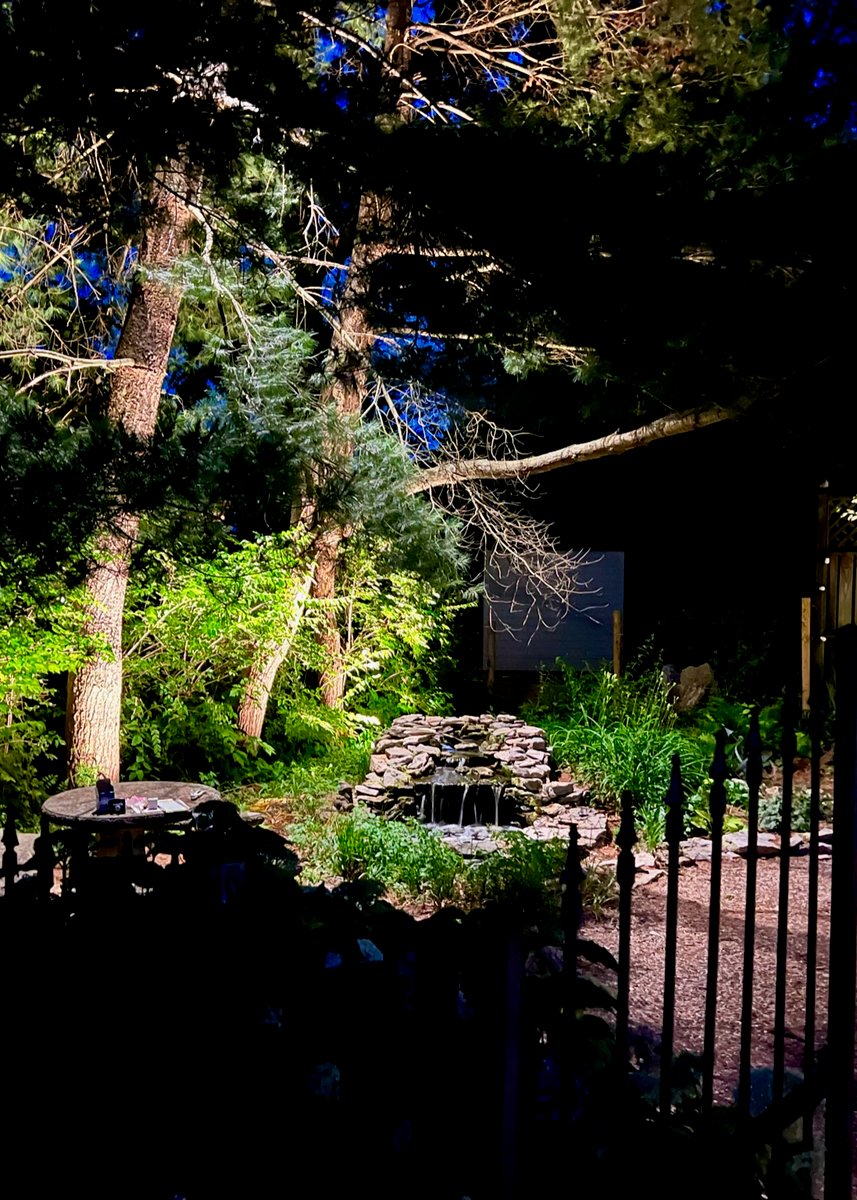 Backyard with trees and fountain illuminated by landscape lighting